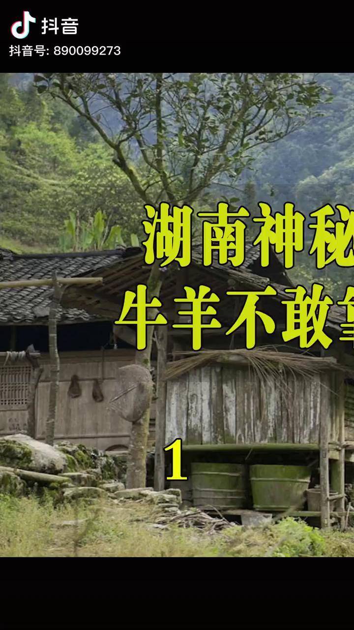 山村之谜——探索三伦的神秘世界-第1张图片