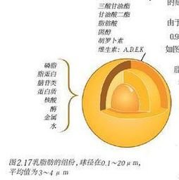 一个一个轮着c逐一体验的C之旅-第3张图片