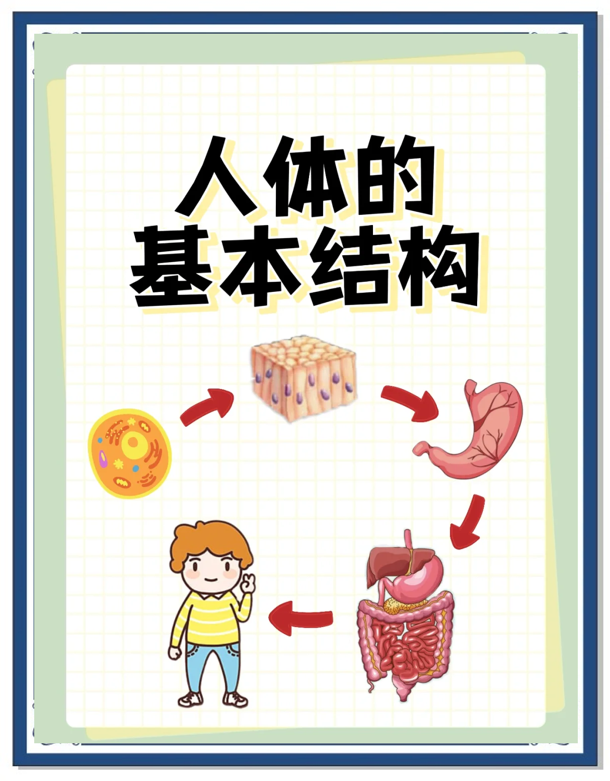 探索Japonensis的奥秘，从20到25的深度解析-第1张图片