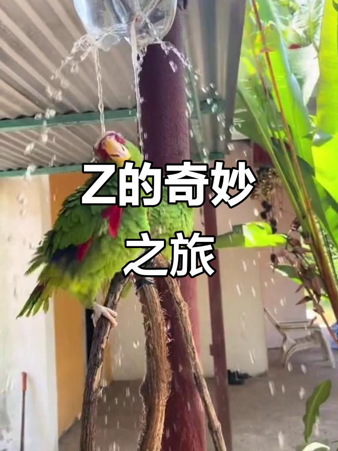 探索JAPONENSIS的魅力，JAVAHDTV365的科技之旅