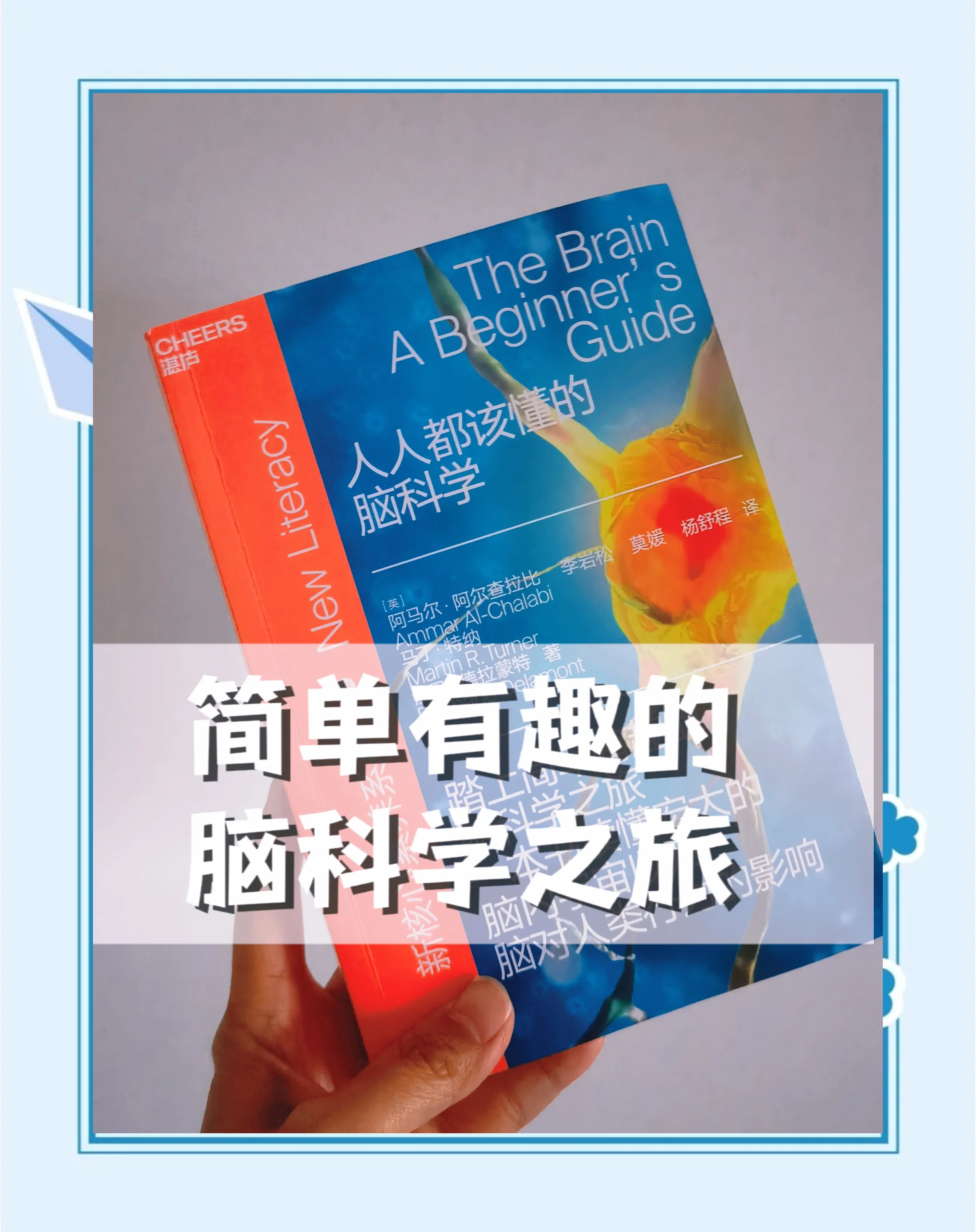探索renrne的奥秘