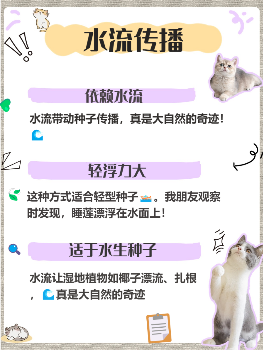 生命水晶多的种子生命水晶种子手机版，开启生命科技新纪元-第1张图片