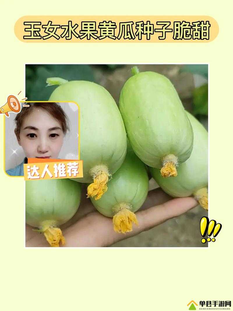 黄色软件草莓丝瓜秋葵免费苹果探索黄色软件中的草莓丝瓜秋葵与免费苹果的奥秘-第1张图片