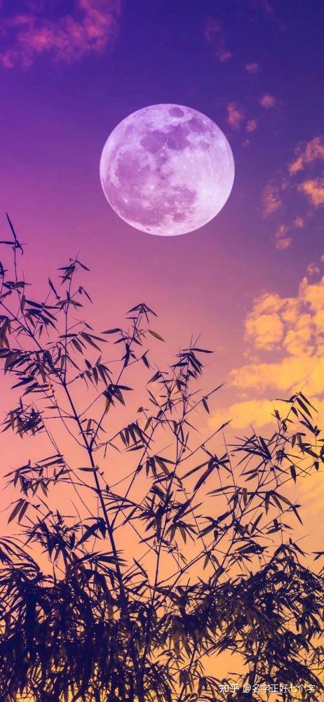 2020年最火爆的壁纸花2020年最火爆的壁纸，视觉潮流的引领者-第1张图片