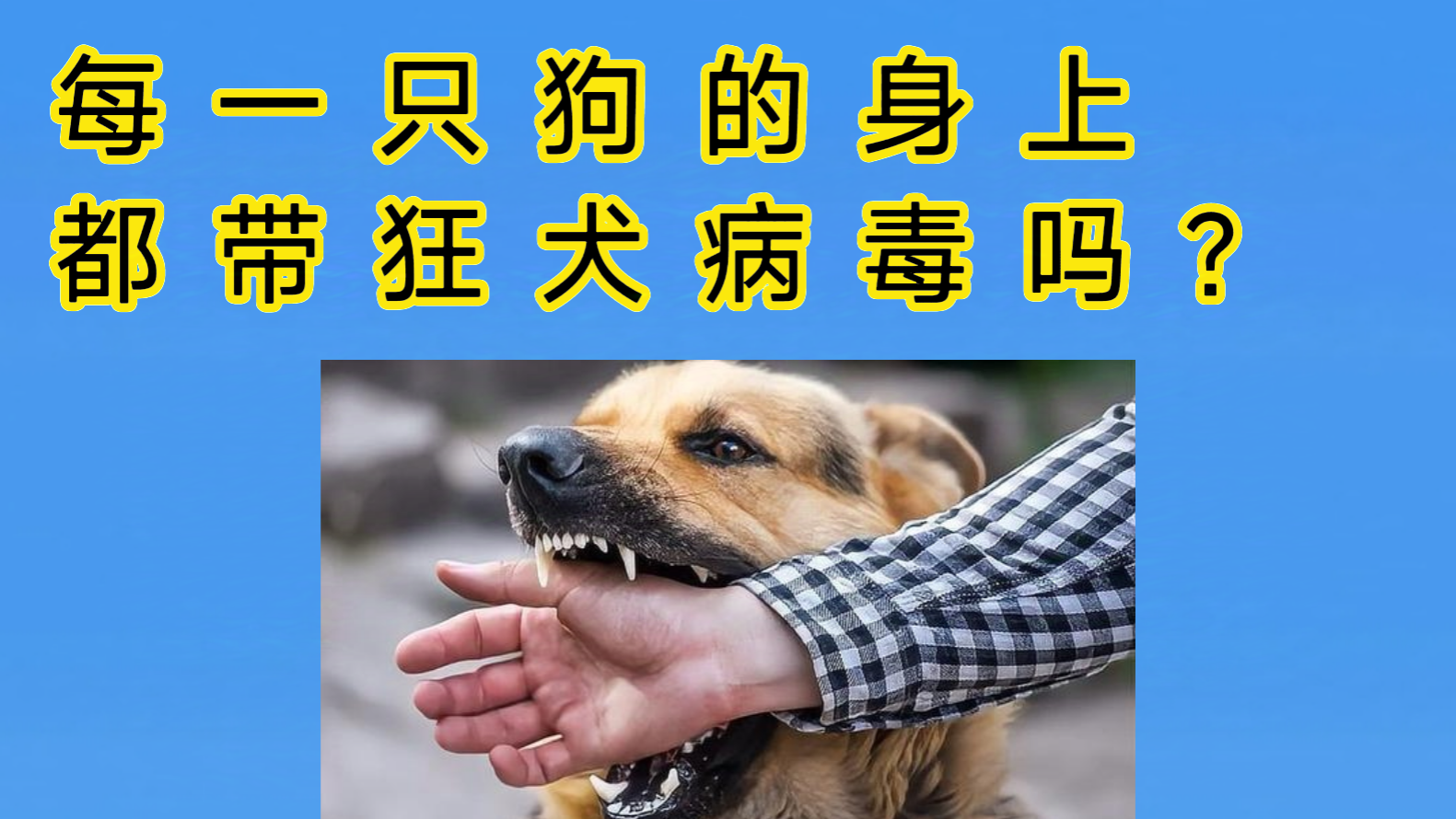 牛or猪or狗人牛、猪、狗，人类生活中的三大动物伙伴